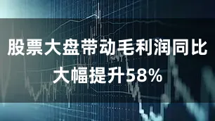 股票大盘带动毛利润同比大幅提升58%