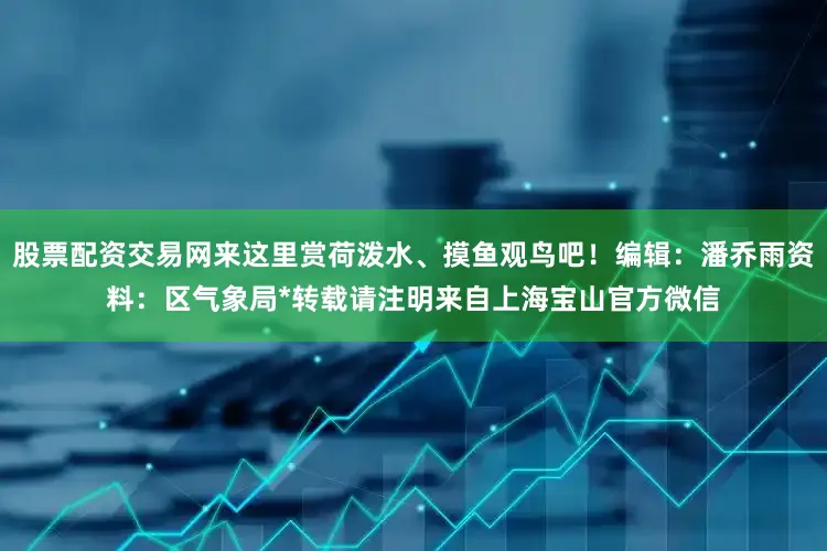 股票配资交易网来这里赏荷泼水、摸鱼观鸟吧！编辑：潘乔雨资料：区气象局*转载请注明来自上海宝山官方微信
