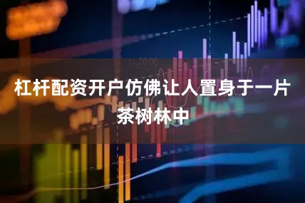 杠杆配资开户仿佛让人置身于一片茶树林中