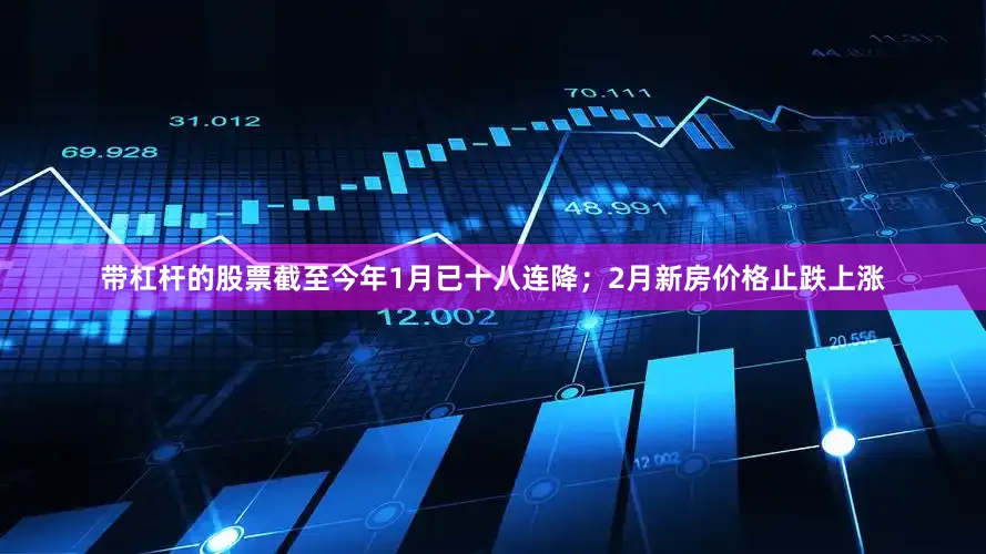 带杠杆的股票截至今年1月已十八连降；2月新房价格止跌上涨