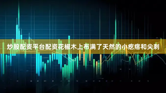 炒股配资平台配资花椒木上布满了天然的小疙瘩和尖刺