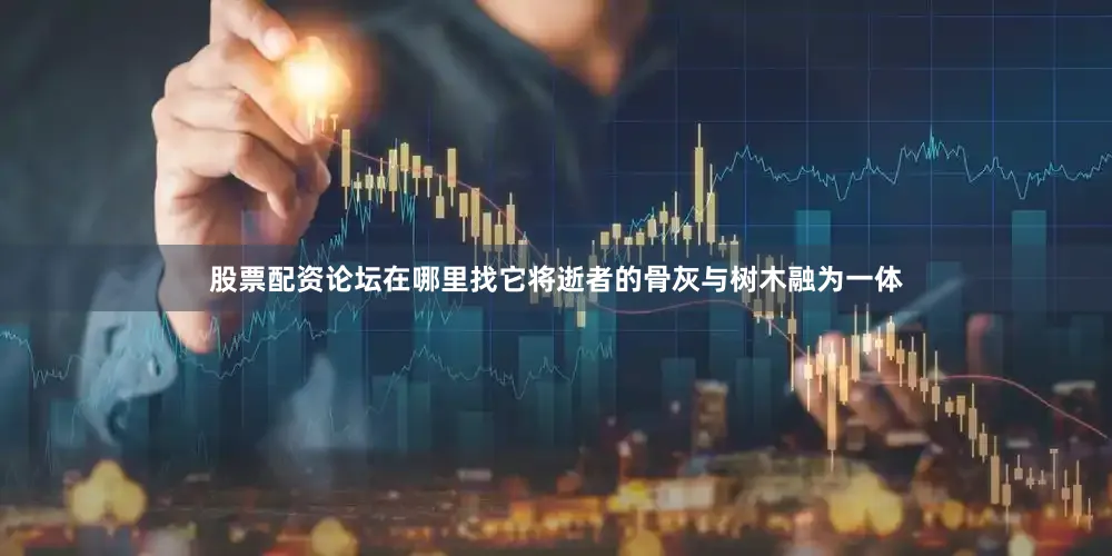 股票配资论坛在哪里找它将逝者的骨灰与树木融为一体