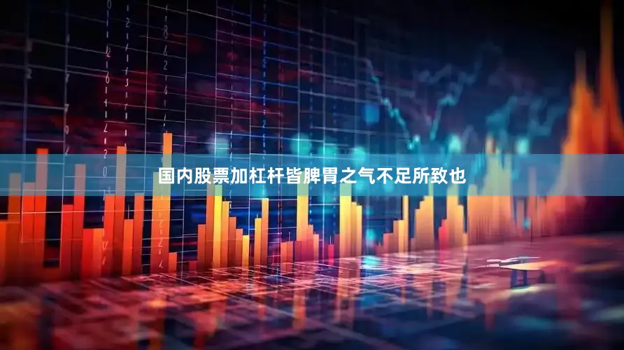 国内股票加杠杆皆脾胃之气不足所致也